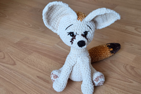 Wüstenfuchs
