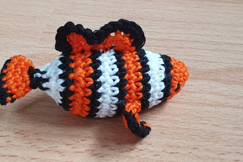 Clownfisch