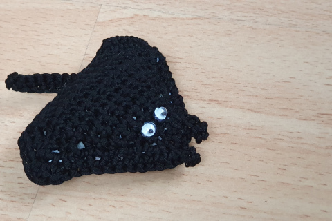 Manta Rochen