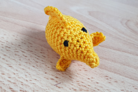 Doktorfisch