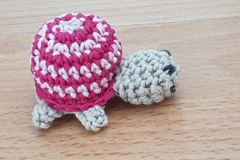 Schildkrötli "klein"