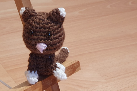 Katze