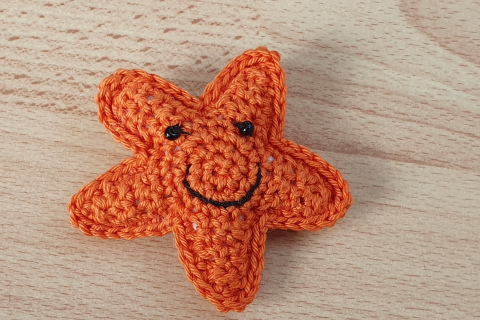 Seestern orange