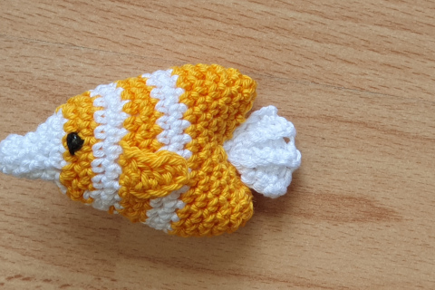 Falterfisch